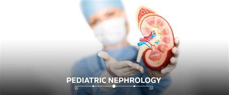 pediatric nephrology near occidental|Home .